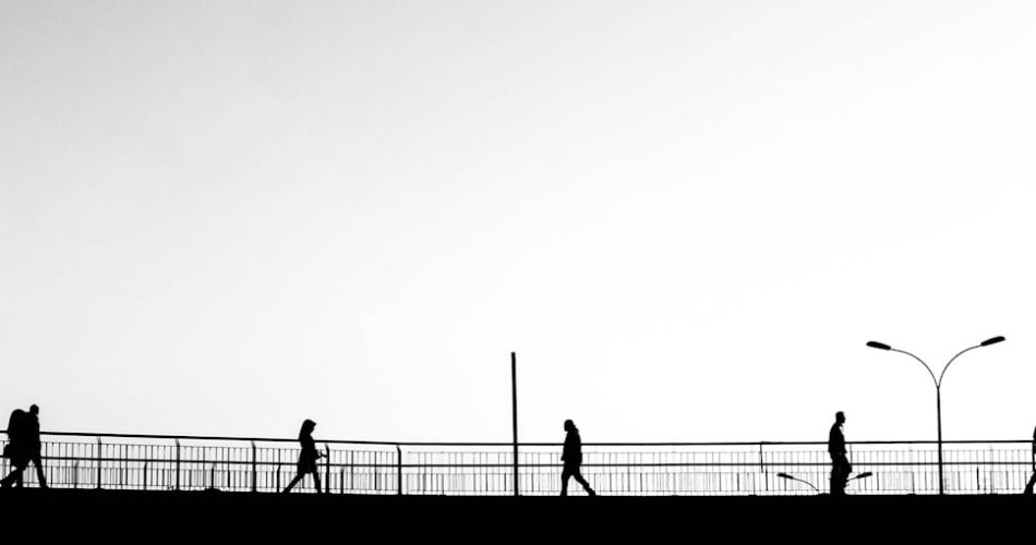 How Contrarian Traders Profit From Crowd Psychology — Photo by Ömer Evren on Unsplash
