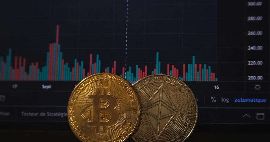 The Psychology Behind Viral Meme Coin Pumps: Why Your Brain Can't Resist the FOMO — Photo by Pierre Borthiry - Peiobty on Unsplash